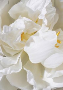 Intentional Living: Building a Life You Love